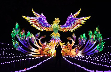 MAN - Lightopia Festival