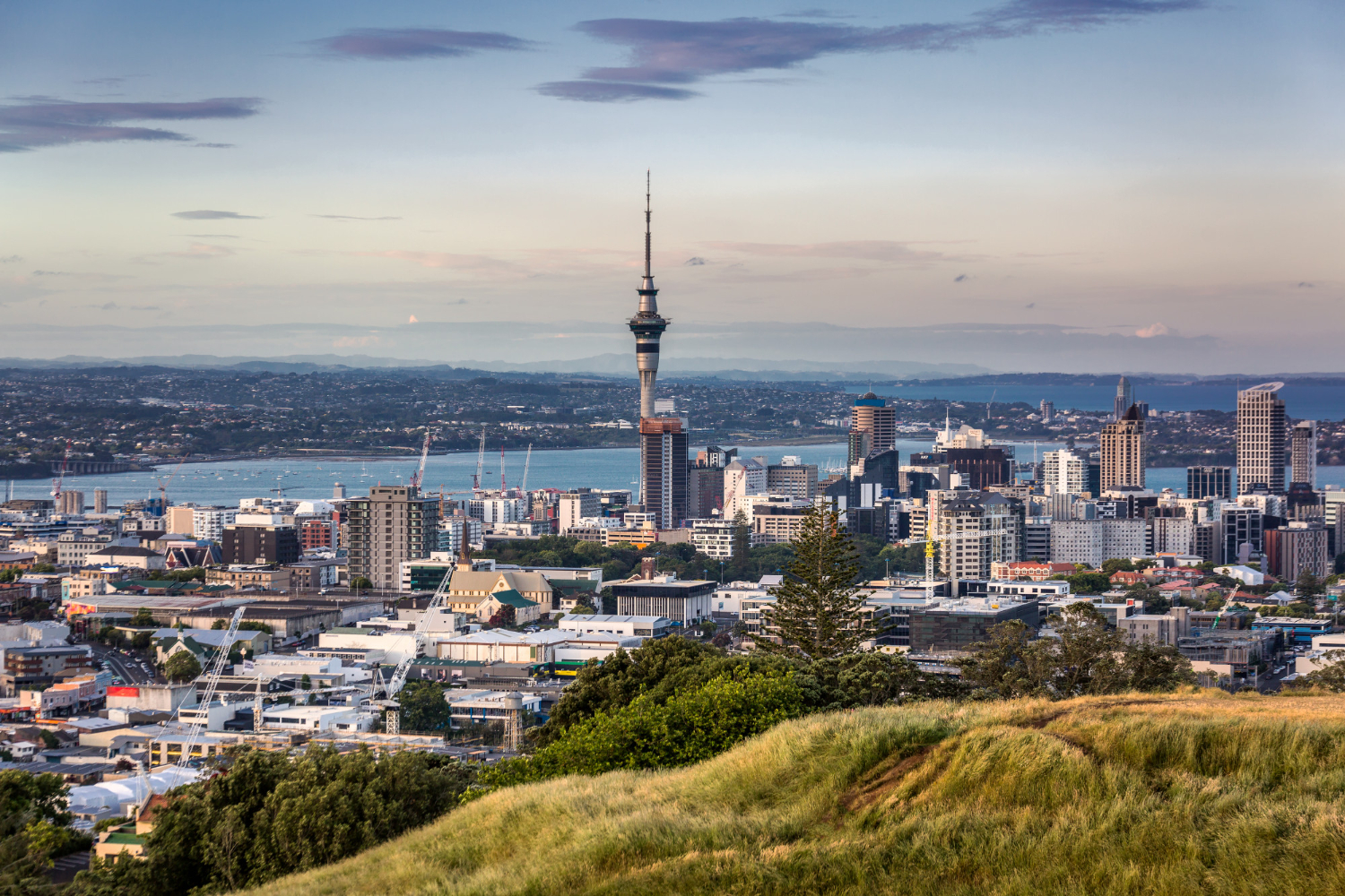 Business class travel to Auckland