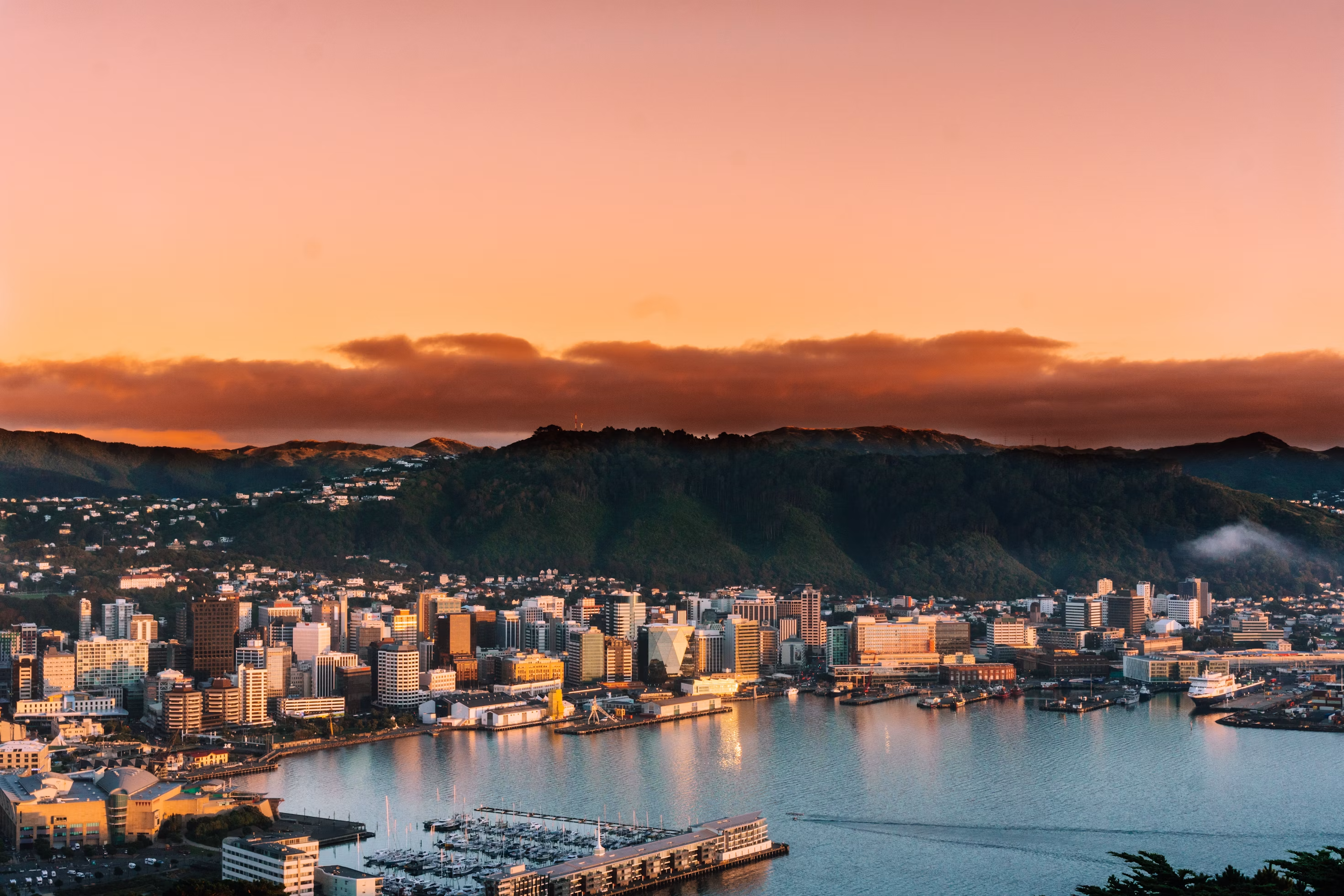 Business class travel to Wellington