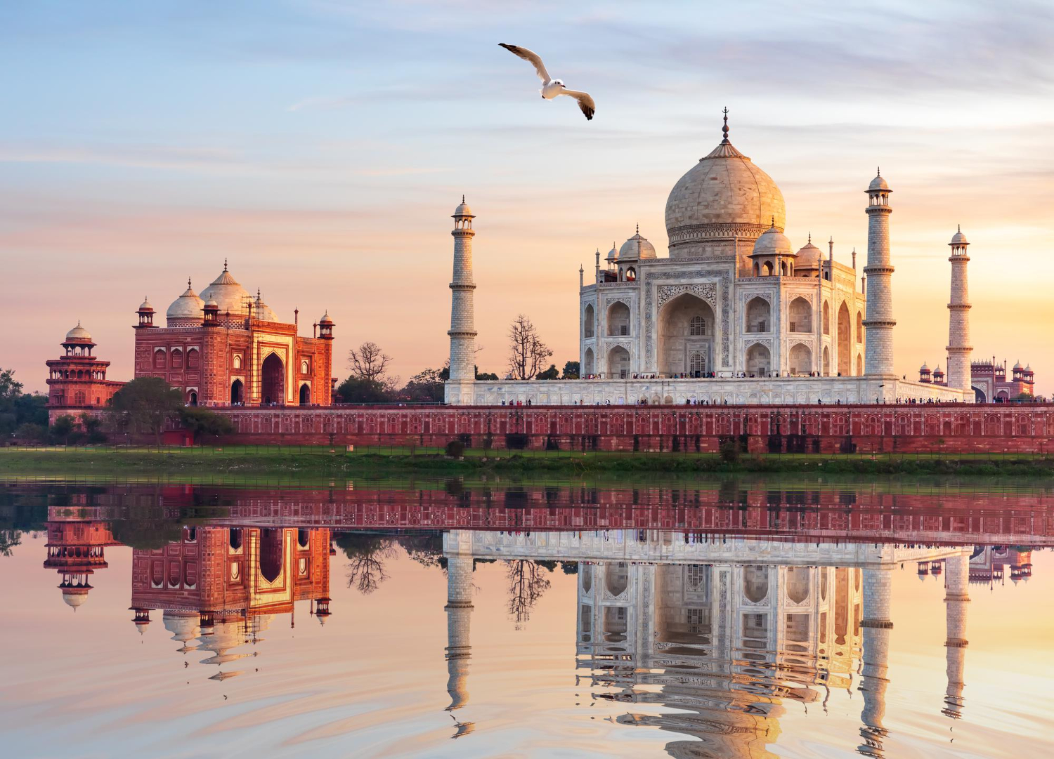 Premium travel assistance for flights to India